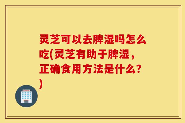 灵芝可以去脾湿吗怎么吃(灵芝有助于脾湿，正确食用方法是什么？)-第1张图片-灵芝之家