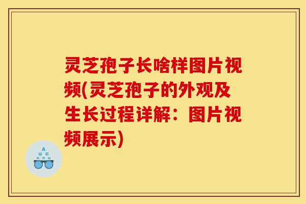 灵芝孢子长啥样图片视频(灵芝孢子的外观及生长过程详解:图片视频展示)-第1张图片-灵芝之家 灵芝孢子长啥样图片视频(灵芝孢子的外观及生长过程详解:图片视频展示)-第1张图片-灵芝之家