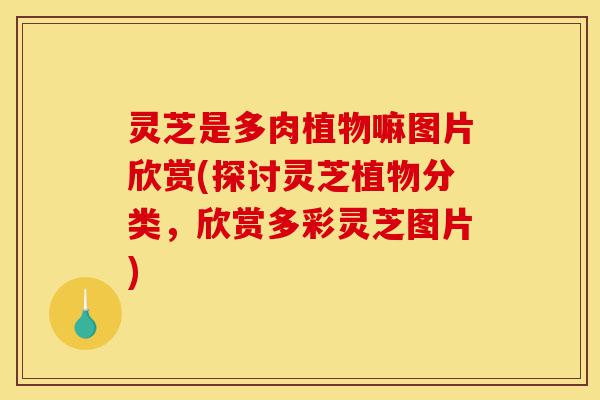 灵芝是多肉植物嘛图片欣赏(探讨灵芝植物分类，欣赏多彩灵芝图片)-第1张图片-灵芝之家