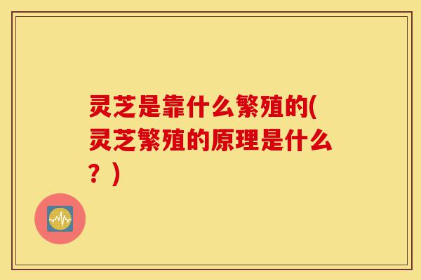 灵芝是靠什么繁殖的(灵芝繁殖的原理是什么?)-第1张图片-灵芝之家 灵芝是靠什么繁殖的(灵芝繁殖的原理是什么?)-第1张图片-灵芝之家