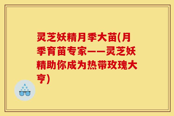 灵芝妖精月季大苗(月季育苗专家——灵芝妖精助你成为热带玫瑰大亨)-第1张图片-灵芝之家 灵芝妖精月季大苗(月季育苗专家——灵芝妖精助你成为热带玫瑰大亨)-第1张图片-灵芝之家