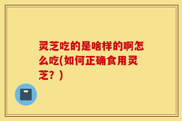 灵芝吃的是啥样的啊怎么吃(如何正确食用灵芝?)-第1张图片-灵芝之家 灵芝吃的是啥样的啊怎么吃(如何正确食用灵芝?)-第1张图片-灵芝之家