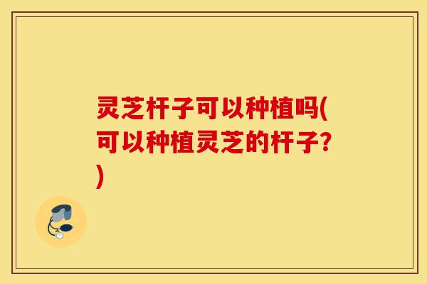 灵芝杆子可以种植吗(可以种植灵芝的杆子？)-第1张图片-灵芝之家