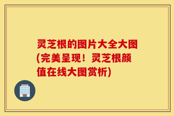 灵芝根的图片大全大图(完美呈现!灵芝根颜值在线大图赏析)-第1张图片-灵芝之家 灵芝根的图片大全大图(完美呈现!灵芝根颜值在线大图赏析)-第1张图片-灵芝之家
