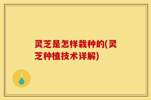 灵芝是怎样栽种的(灵芝种植技术详解)-第1张图片-灵芝之家