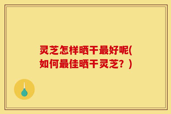 灵芝怎样晒干最好呢(如何最佳晒干灵芝？)-第1张图片-灵芝之家