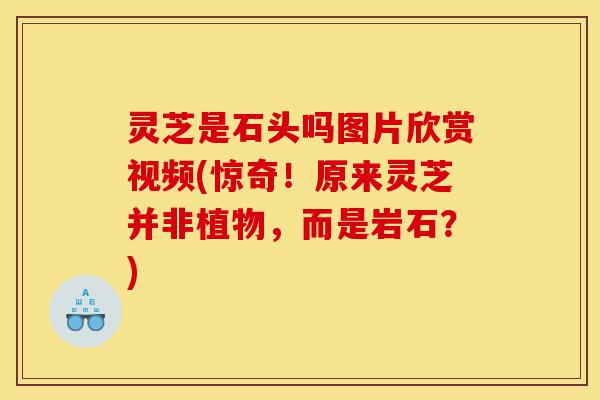 灵芝是石头吗图片欣赏视频(惊奇!原来灵芝并非植物,而是岩石?)-第1张图片-灵芝之家 灵芝是石头吗图片欣赏视频(惊奇!原来灵芝并非植物,而是岩石?)-第1张图片-灵芝之家
