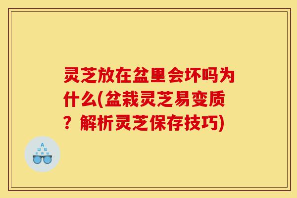 灵芝放在盆里会坏吗为什么(盆栽灵芝易变质?解析灵芝保存技巧)-第1张图片-灵芝之家 灵芝放在盆里会坏吗为什么(盆栽灵芝易变质?解析灵芝保存技巧)-第1张图片-灵芝之家