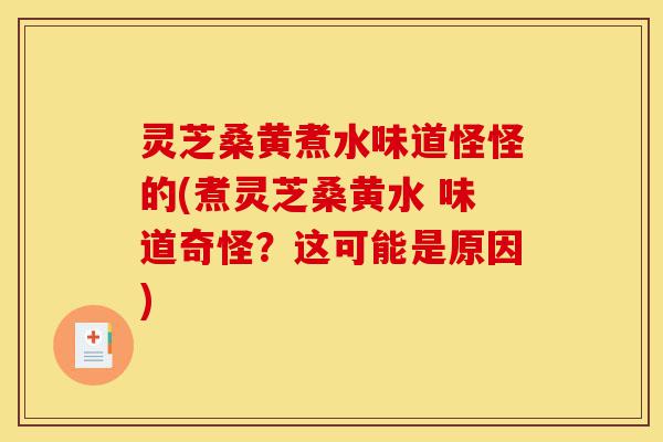 灵芝桑黄煮水味道怪怪的(煮灵芝桑黄水 味道奇怪？这可能是原因)-第1张图片-灵芝之家
