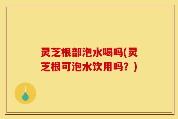 灵芝根部泡水喝吗(灵芝根可泡水饮用吗?)-第1张图片-灵芝之家 灵芝根部泡水喝吗(灵芝根可泡水饮用吗?)-第1张图片-灵芝之家
