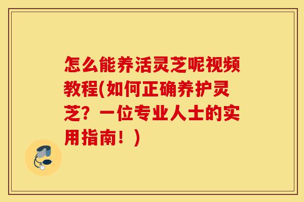 怎么能养活灵芝呢视频教程(如何正确养护灵芝?一位专业人士的实用指南!)-第1张图片-灵芝之家 怎么能养活灵芝呢视频教程(如何正确养护灵芝?一位专业人士的实用指南!)-第1张图片-灵芝之家