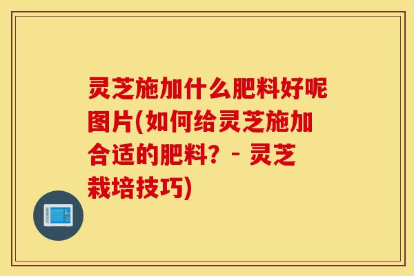 灵芝施加什么肥料好呢图片(如何给灵芝施加合适的肥料?- 灵芝栽培技巧)-第1张图片-灵芝之家 灵芝施加什么肥料好呢图片(如何给灵芝施加合适的肥料?- 灵芝栽培技巧)-第1张图片-灵芝之家