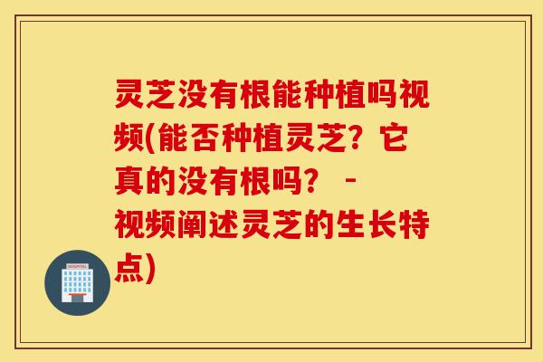 灵芝没有根能种植吗视频(能否种植灵芝？它真的没有根吗？ - 视频阐述灵芝的生长特点)-第1张图片-灵芝之家