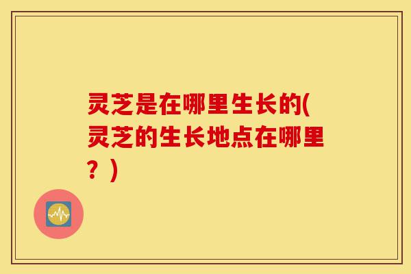 灵芝是在哪里生长的(灵芝的生长地点在哪里?)-第1张图片-灵芝之家 灵芝是在哪里生长的(灵芝的生长地点在哪里?)-第1张图片-灵芝之家