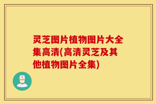 灵芝图片植物图片大全集高清(高清灵芝及其他植物图片全集)-第1张图片-灵芝之家 灵芝图片植物图片大全集高清(高清灵芝及其他植物图片全集)-第1张图片-灵芝之家