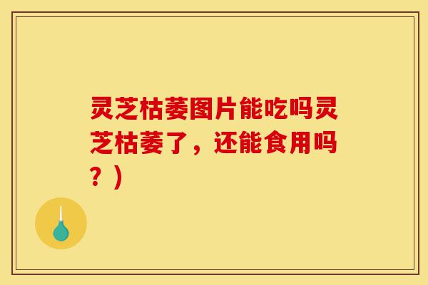 灵芝枯萎图片能吃吗灵芝枯萎了,还能食用吗?)-第1张图片-灵芝之家 灵芝枯萎图片能吃吗灵芝枯萎了,还能食用吗?)-第1张图片-灵芝之家