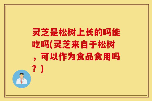 灵芝是松树上长的吗能吃吗(灵芝来自于松树,可以作为食品食用吗?)-第1张图片-灵芝之家 灵芝是松树上长的吗能吃吗(灵芝来自于松树,可以作为食品食用吗?)-第1张图片-灵芝之家