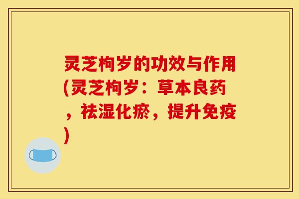 灵芝枸岁的功效与作用(灵芝枸岁:草本良药,祛湿化瘀,提升免疫)-第1张图片-灵芝之家 灵芝枸岁的功效与作用(灵芝枸岁:草本良药,祛湿化瘀,提升免疫)-第1张图片-灵芝之家