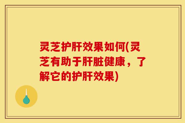 灵芝护肝效果如何(灵芝有助于肝脏健康,了解它的护肝效果)-第1张图片-灵芝之家 灵芝护肝效果如何(灵芝有助于肝脏健康,了解它的护肝效果)-第1张图片-灵芝之家