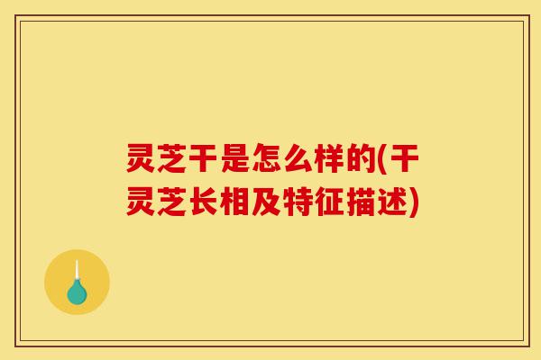 灵芝干是怎么样的(干灵芝长相及特征描述)-第1张图片-灵芝之家 灵芝干是怎么样的(干灵芝长相及特征描述)-第1张图片-灵芝之家