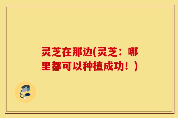 灵芝在那边(灵芝:哪里都可以种植成功!)-第1张图片-灵芝之家 灵芝在那边(灵芝:哪里都可以种植成功!)-第1张图片-灵芝之家