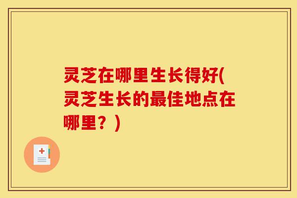 灵芝在哪里生长得好(灵芝生长的最佳地点在哪里?)-第1张图片-灵芝之家 灵芝在哪里生长得好(灵芝生长的最佳地点在哪里?)-第1张图片-灵芝之家