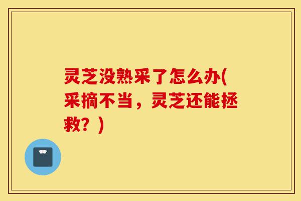 灵芝没熟采了怎么办(采摘不当,灵芝还能拯救?)-第1张图片-灵芝之家 灵芝没熟采了怎么办(采摘不当,灵芝还能拯救?)-第1张图片-灵芝之家