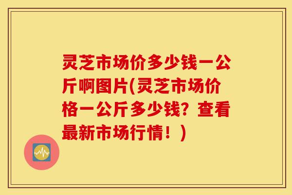 灵芝市场价多少钱一公斤啊图片(灵芝市场价格一公斤多少钱?查看最新市场行情!)-第1张图片-灵芝之家 灵芝市场价多少钱一公斤啊图片(灵芝市场价格一公斤多少钱?查看最新市场行情!)-第1张图片-灵芝之家