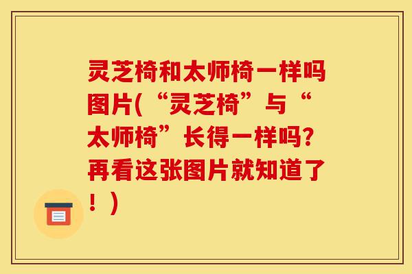 灵芝椅和太师椅一样吗图片(“灵芝椅”与“太师椅”长得一样吗?再看这张图片就知道了!)-第1张图片-灵芝之家 灵芝椅和太师椅一样吗图片(“灵芝椅”与“太师椅”长得一样吗?再看这张图片就知道了!)-第1张图片-灵芝之家