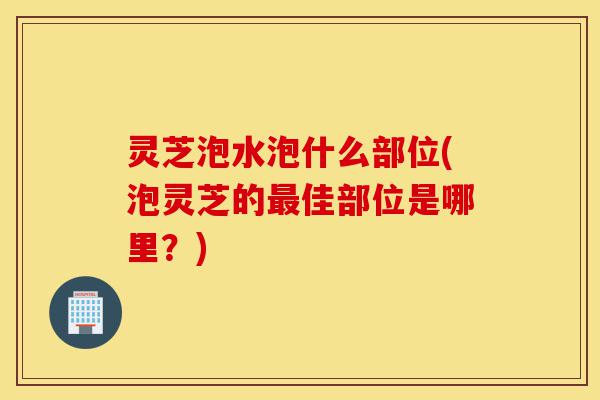 灵芝泡水泡什么部位(泡灵芝的最佳部位是哪里?)-第1张图片-灵芝之家 灵芝泡水泡什么部位(泡灵芝的最佳部位是哪里?)-第1张图片-灵芝之家