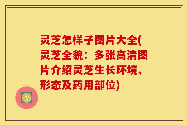 灵芝怎样子图片大全(灵芝全貌:多张高清图片介绍灵芝生长环境、形态及药用部位)-第1张图片-灵芝之家 灵芝怎样子图片大全(灵芝全貌:多张高清图片介绍灵芝生长环境、形态及药用部位)-第1张图片-灵芝之家