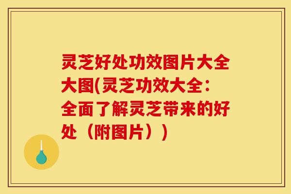 灵芝好处功效图片大全大图(灵芝功效大全：全面了解灵芝带来的好处（附图片）)-第1张图片-灵芝之家