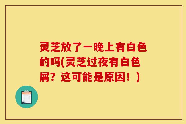 灵芝放了一晚上有白色的吗(灵芝过夜有白色屑？这可能是原因！)-第1张图片-灵芝之家