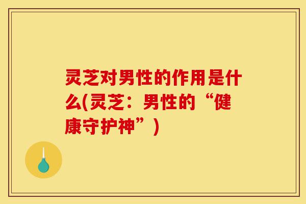 灵芝对男性的作用是什么(灵芝:男性的“健康守护神”)-第1张图片-灵芝之家 灵芝对男性的作用是什么(灵芝:男性的“健康守护神”)-第1张图片-灵芝之家