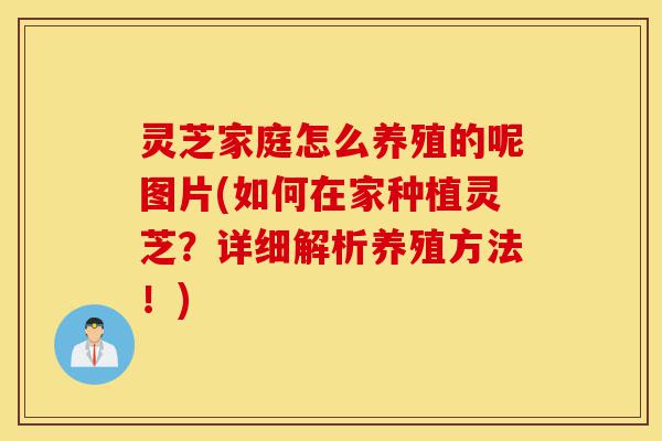 灵芝家庭怎么养殖的呢图片(如何在家种植灵芝？详细解析养殖方法！)-第1张图片-灵芝之家