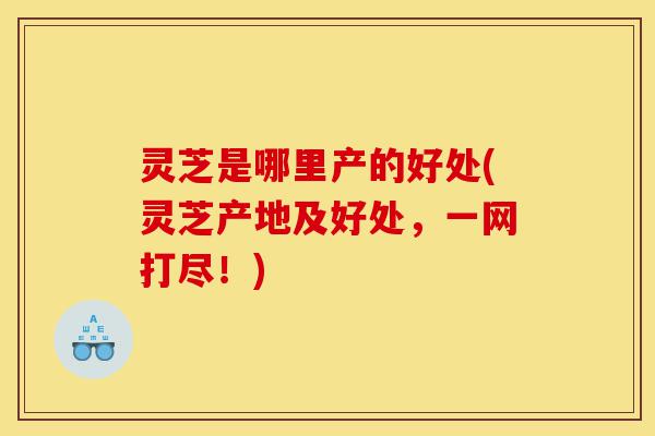 灵芝是哪里产的好处(灵芝产地及好处,一网打尽!)-第1张图片-灵芝之家 灵芝是哪里产的好处(灵芝产地及好处,一网打尽!)-第1张图片-灵芝之家