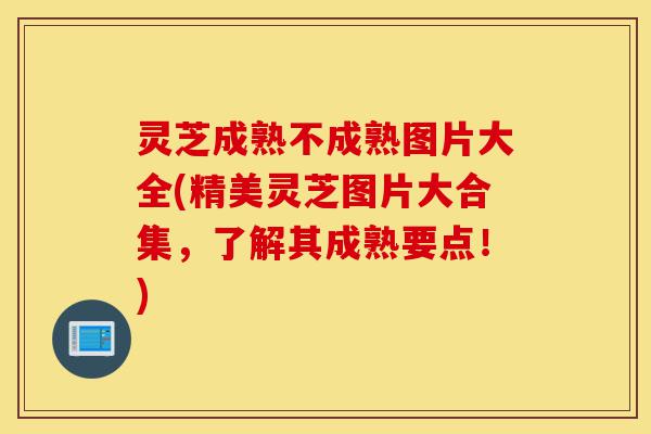 灵芝成熟不成熟图片大全(精美灵芝图片大合集,了解其成熟要点!)-第1张图片-灵芝之家 灵芝成熟不成熟图片大全(精美灵芝图片大合集,了解其成熟要点!)-第1张图片-灵芝之家