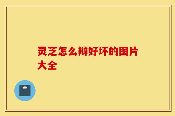 灵芝怎么辩好坏的图片大全-第1张图片-灵芝之家