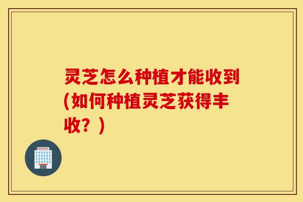 灵芝怎么种植才能收到(如何种植灵芝获得丰收?)-第1张图片-灵芝之家 灵芝怎么种植才能收到(如何种植灵芝获得丰收?)-第1张图片-灵芝之家