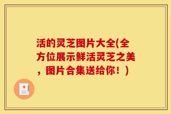 活的灵芝图片大全(全方位展示鲜活灵芝之美,图片合集送给你!)-第1张图片-灵芝之家 活的灵芝图片大全(全方位展示鲜活灵芝之美,图片合集送给你!)-第1张图片-灵芝之家