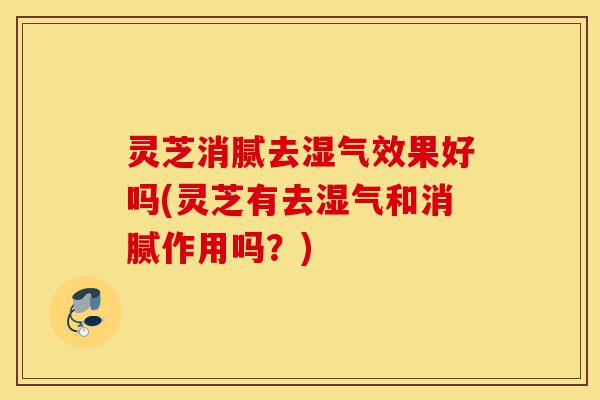 灵芝消腻去湿气效果好吗(灵芝有去湿气和消腻作用吗?)-第1张图片-灵芝之家 灵芝消腻去湿气效果好吗(灵芝有去湿气和消腻作用吗?)-第1张图片-灵芝之家