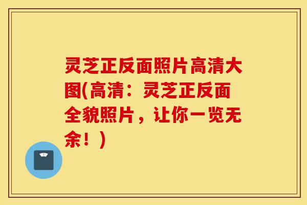 灵芝正反面照片高清大图(高清:灵芝正反面全貌照片,让你一览无余!)-第1张图片-灵芝之家 灵芝正反面照片高清大图(高清:灵芝正反面全貌照片,让你一览无余!)-第1张图片-灵芝之家