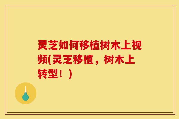 灵芝如何移植树木上视频(灵芝移植,树木上转型!)-第1张图片-灵芝之家 灵芝如何移植树木上视频(灵芝移植,树木上转型!)-第1张图片-灵芝之家