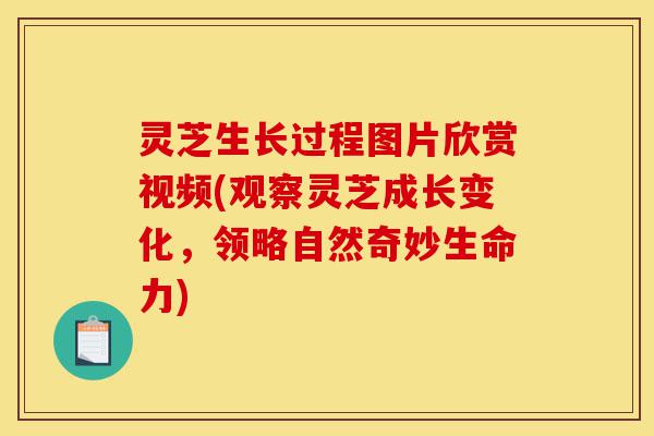 灵芝生长过程图片欣赏视频(观察灵芝成长变化,领略自然奇妙生命力)-第1张图片-灵芝之家 灵芝生长过程图片欣赏视频(观察灵芝成长变化,领略自然奇妙生命力)-第1张图片-灵芝之家