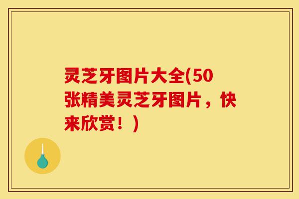 灵芝牙图片大全(50张精美灵芝牙图片，快来欣赏！)-第1张图片-灵芝之家