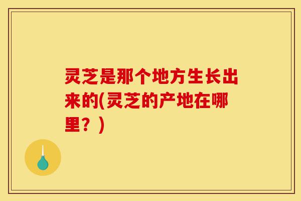 灵芝是那个地方生长出来的(灵芝的产地在哪里?)-第1张图片-灵芝之家 灵芝是那个地方生长出来的(灵芝的产地在哪里?)-第1张图片-灵芝之家