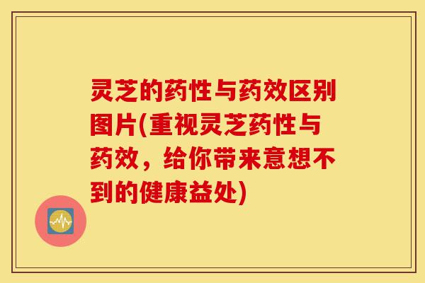 灵芝的药性与药效区别图片(重视灵芝药性与药效，给你带来意想不到的健康益处)-第1张图片-灵芝之家