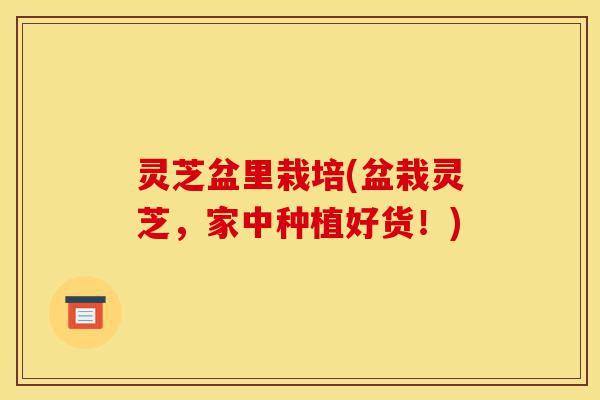 灵芝盆里栽培(盆栽灵芝，家中种植好货！)-第1张图片-灵芝之家
