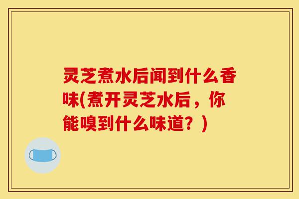 灵芝煮水后闻到什么香味(煮开灵芝水后，你能嗅到什么味道？)-第1张图片-灵芝之家