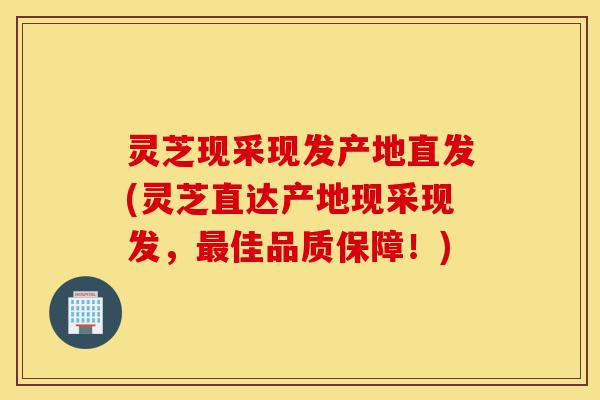 灵芝现采现发产地直发(灵芝直达产地现采现发,最佳品质保障!)-第1张图片-灵芝之家 灵芝现采现发产地直发(灵芝直达产地现采现发,最佳品质保障!)-第1张图片-灵芝之家